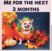 Screen Shot 2018-11-17 at 9.19.44 AM