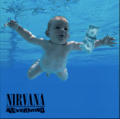 Screen Shot 2019-03-24 at 3.37.29 PM