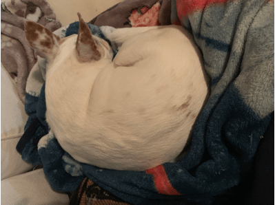 Screen Shot 2019-05-20 at 11.57.58 AM